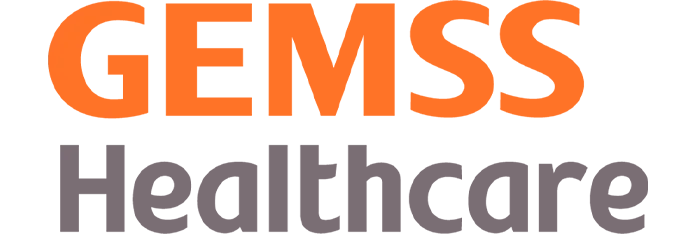 logo gemss
